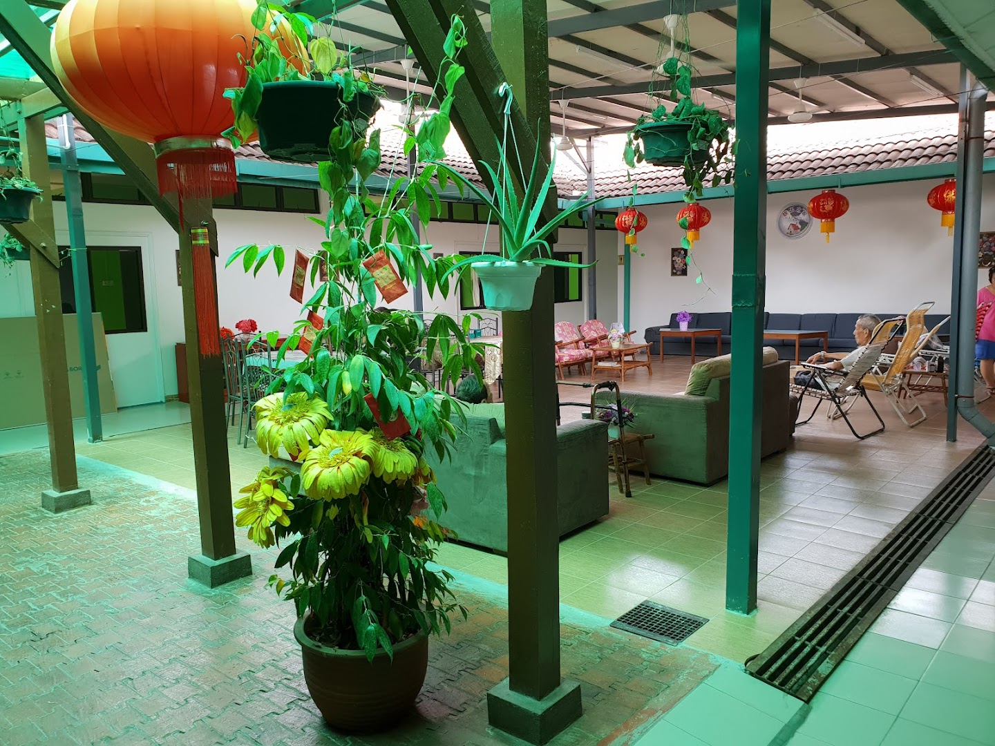 Blue Pigeon Care Centre
