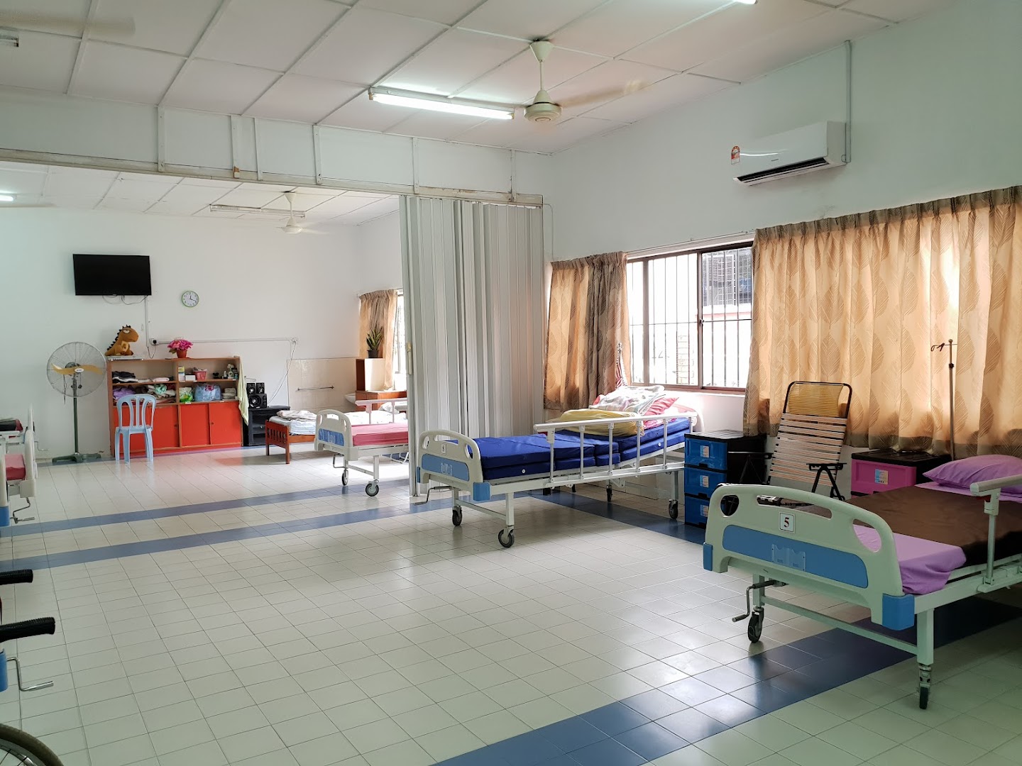 Blue Pigeon Care Centre