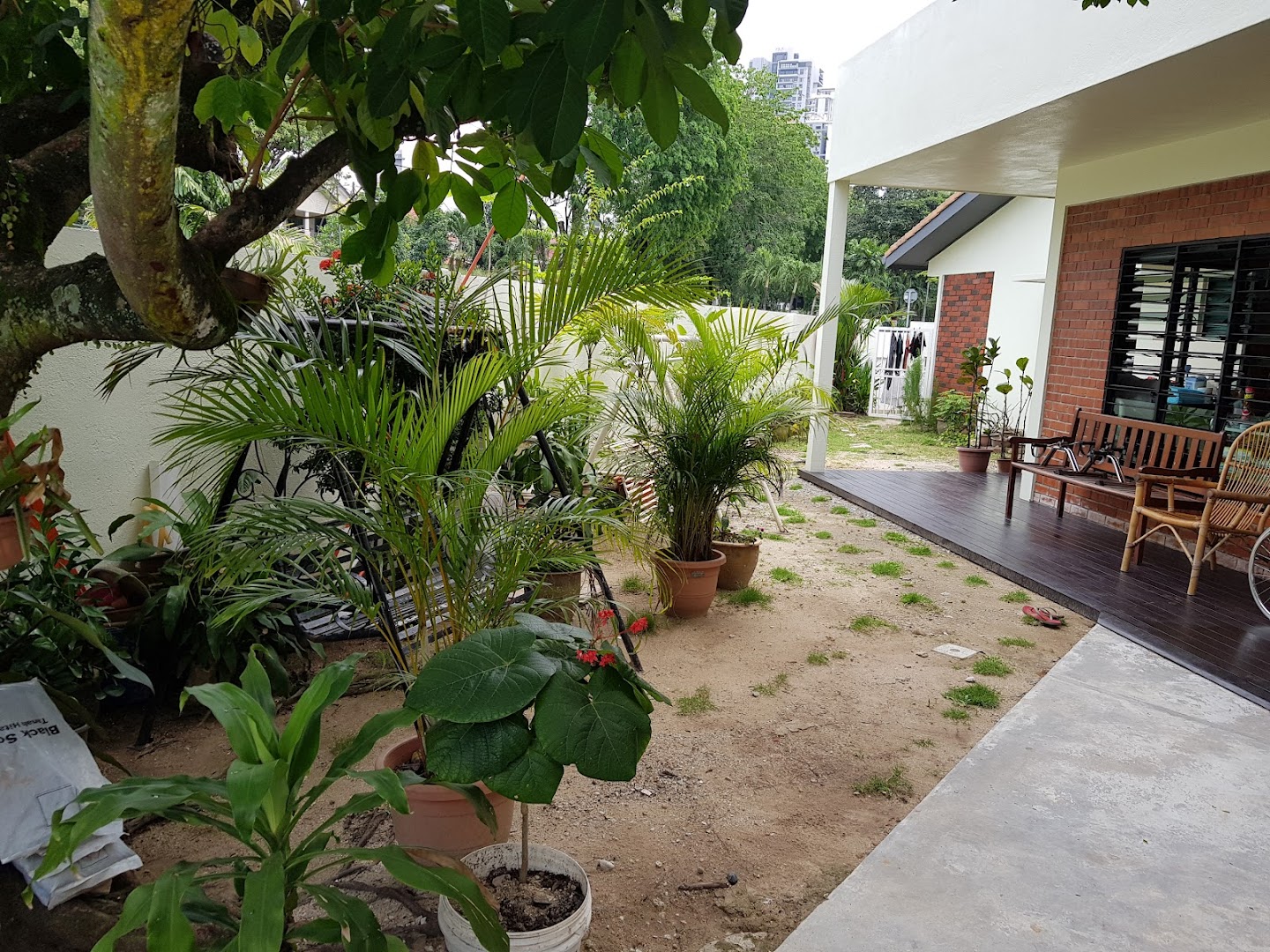 Mintygreen Wellness (Kepong)