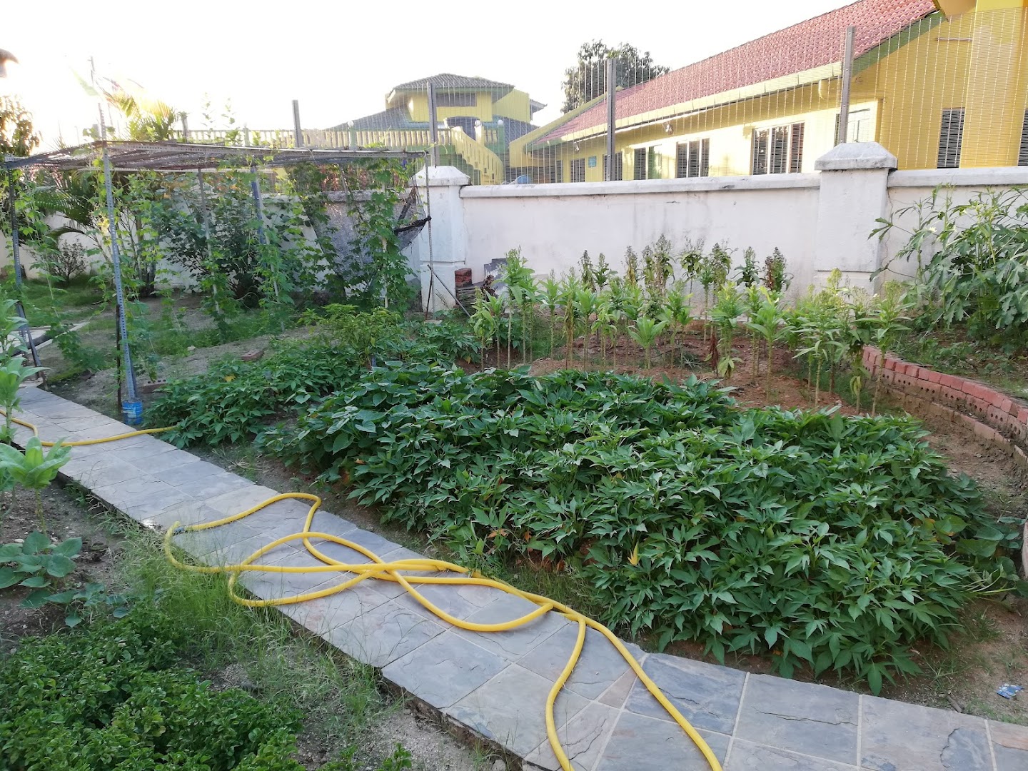 PADMA CARE CENTER KAJANG photo 5