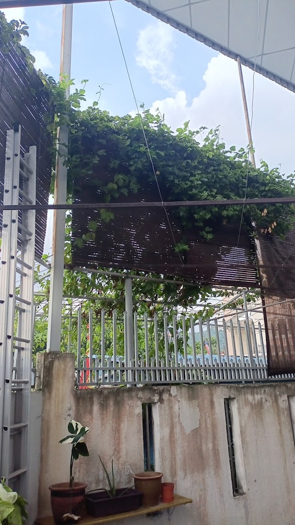 PAPA & MAMA CARE CENTRE photo 3